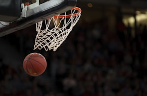 Basketball News