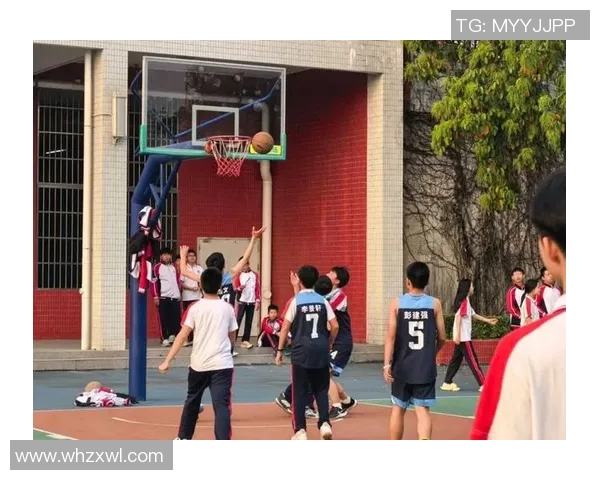 大专学历篮球明星的崛起与奋斗故事揭秘青春与梦想的交织